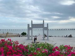 -宝安西湾红树林湿地公园