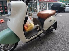 -绿源电动车(普陀专卖店)