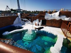 -秦皇岛乐岛海洋王国