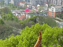 -黄鹤楼