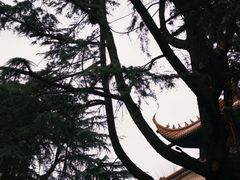 -迎江寺