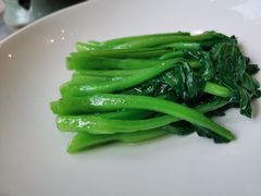 -食神鱼头佛跳墙(百子湾旗舰店)