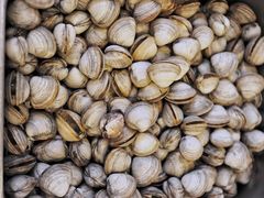 -赤山海景丽呈酒店