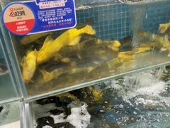 -胖姐渔村(中源大道店)
