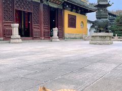 -西园戒幢律寺