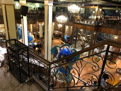 -more than meow吴止猫主题餐厅(承德 中船汇店)