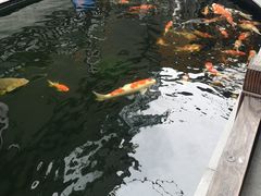 -华庭苑农家乐(旺山店)