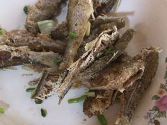 -小六农家乐(崇明西沙湿地店)