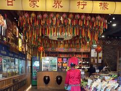 -甘家界牌柠檬鸭(青山店)