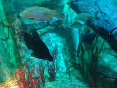 -沈阳海洋探索中心