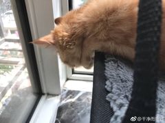-达美乐比萨(双安店)
