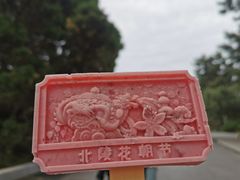 -北陵公园