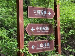 -大岭沟猕猴桃谷风景区