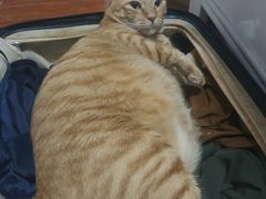 -中山大学附属第五医院