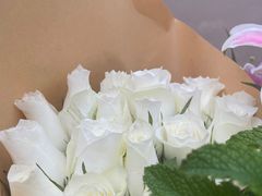 -双季花艺园艺市场(浦东店)