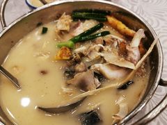 锅仔川弓白芷大鱼头-粤·向群饭店(龙津东路总店)