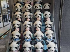 -熊猫屋(宽窄巷子景区店)