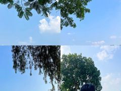 -东莞植物园