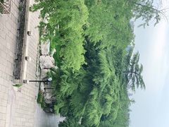 -济南大明湖景区