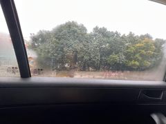 -安飞驰驾校·学车连锁(金高店)