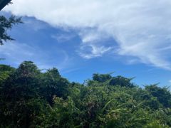 -海南铜鼓岭景区