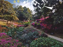 -广州市白云山风景名胜区