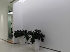 -极简口腔(总院)