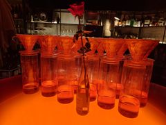 -毛辣果·酸(OHA复兴西路店)