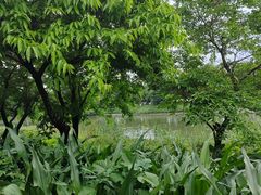 -海珠湖公园