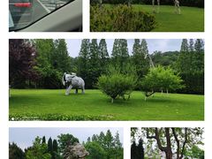 -棒棰岛宾馆景区