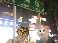 门面-九里香奶茶果汁(碧湖店)