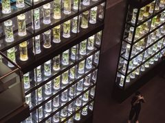 -广东中医药博物馆