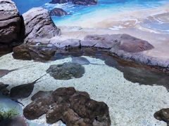 -南昌海洋公园