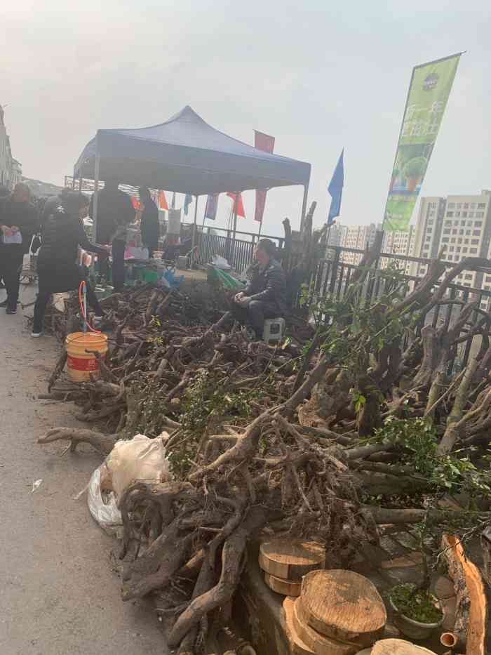 宏帆望海花都-"几乎每周都会光临的花市,市场巨大,但也人.