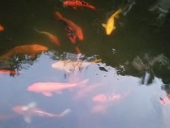 点击看大图 -修身堂美容SPA