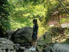 -宁波五龙潭景区