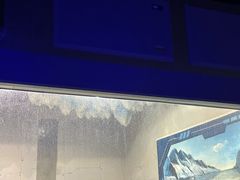 -大连圣亚海洋世界