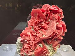 -湖南省地质博物馆