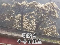 -终南山南五台景区