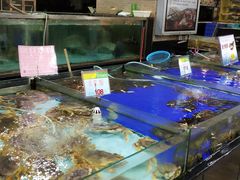 水产区-渔民新村(番禺总店)