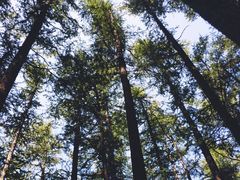 -白草畔自然风景区