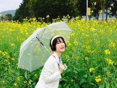 -光明小镇欢乐田园