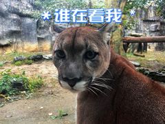 -杭州野生动物世界