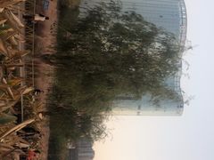 -艾溪湖湿地公园