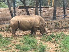 -大连森林动物园