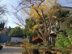 -东山雕花楼