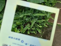 -广州花园酒店