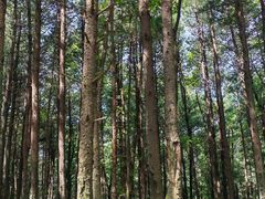 -北山公园