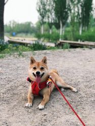 -飛凡TATTOO纹身•原创