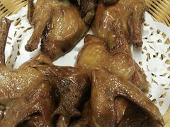 -百利鸽王(紫薇路店)